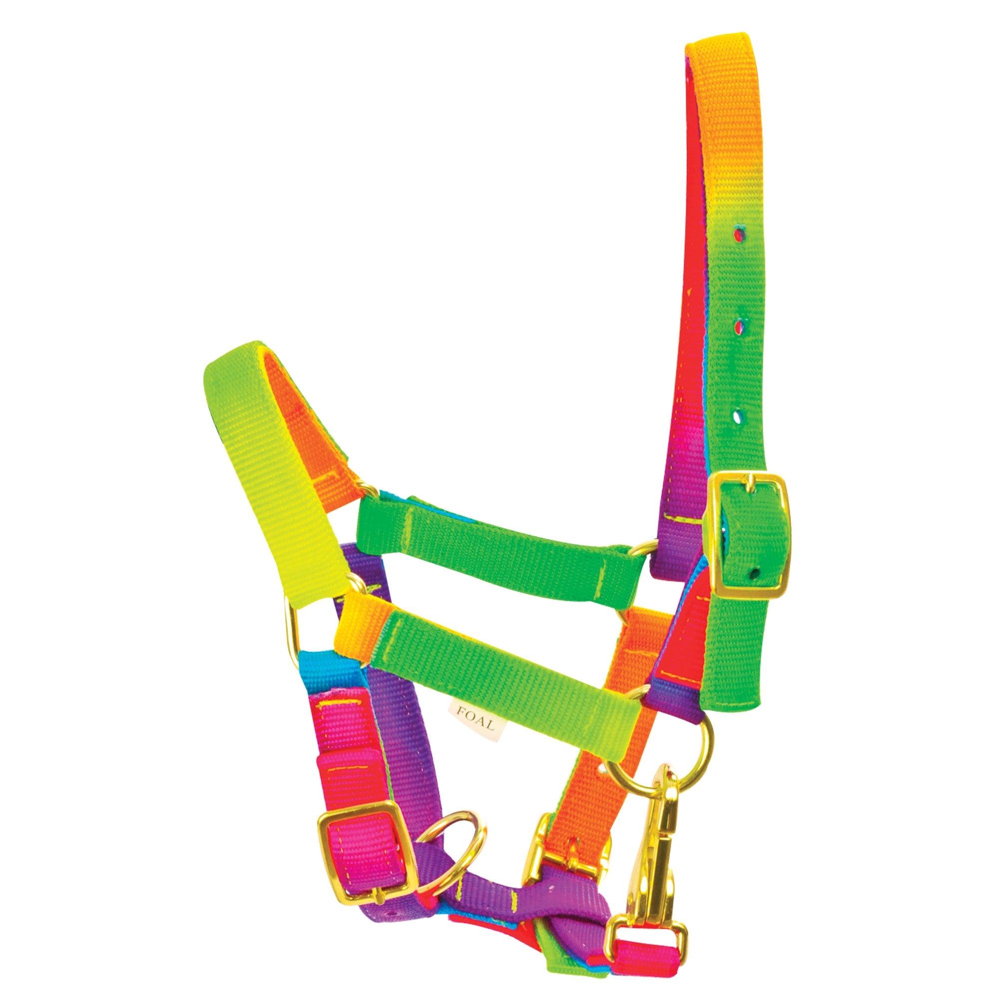 Tattini Licol Multicouleur - SHOP HORSE